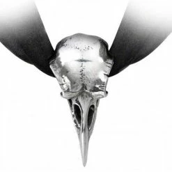 Crows & Ravens Alchemy Rabeschadel Pendant