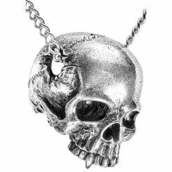 Skulls & Death Alchemy Remains Pendant